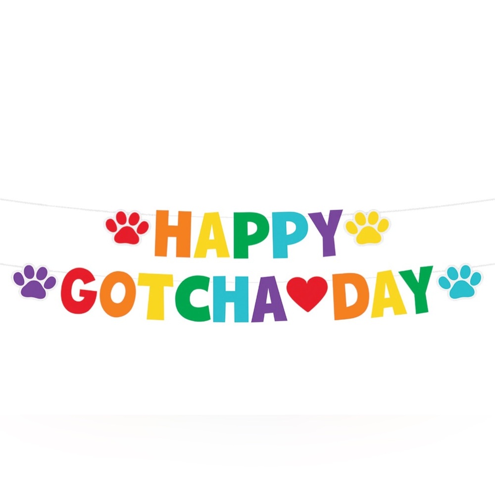 Way to Celebrate Happy Gotcha Day Banner 8.5" x 96" Multicolor
